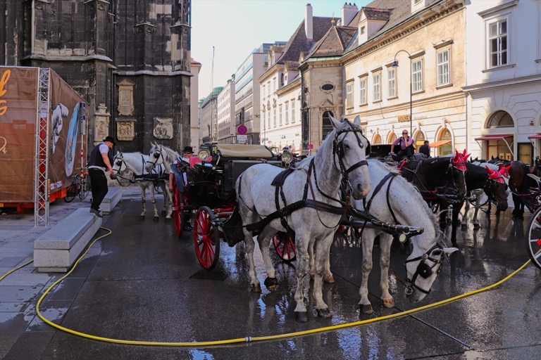 Horse and carriage tours