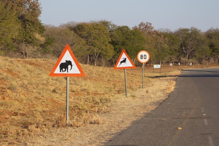 Animal Crossing signs on the road