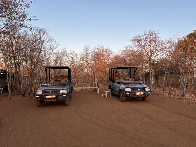Safari Jeeps