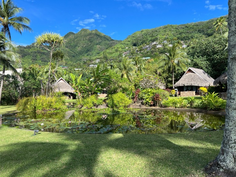 Pond on the resort