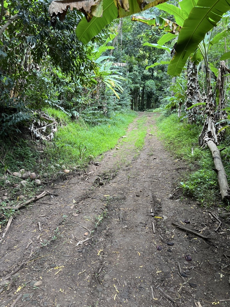 Trail up to petroglyphs