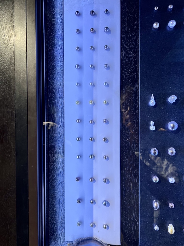 Tahitian Pearls in various colors