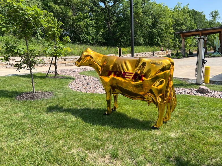 Painted Cow