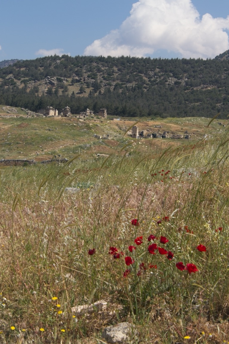 Ruins around Philip’s tomb